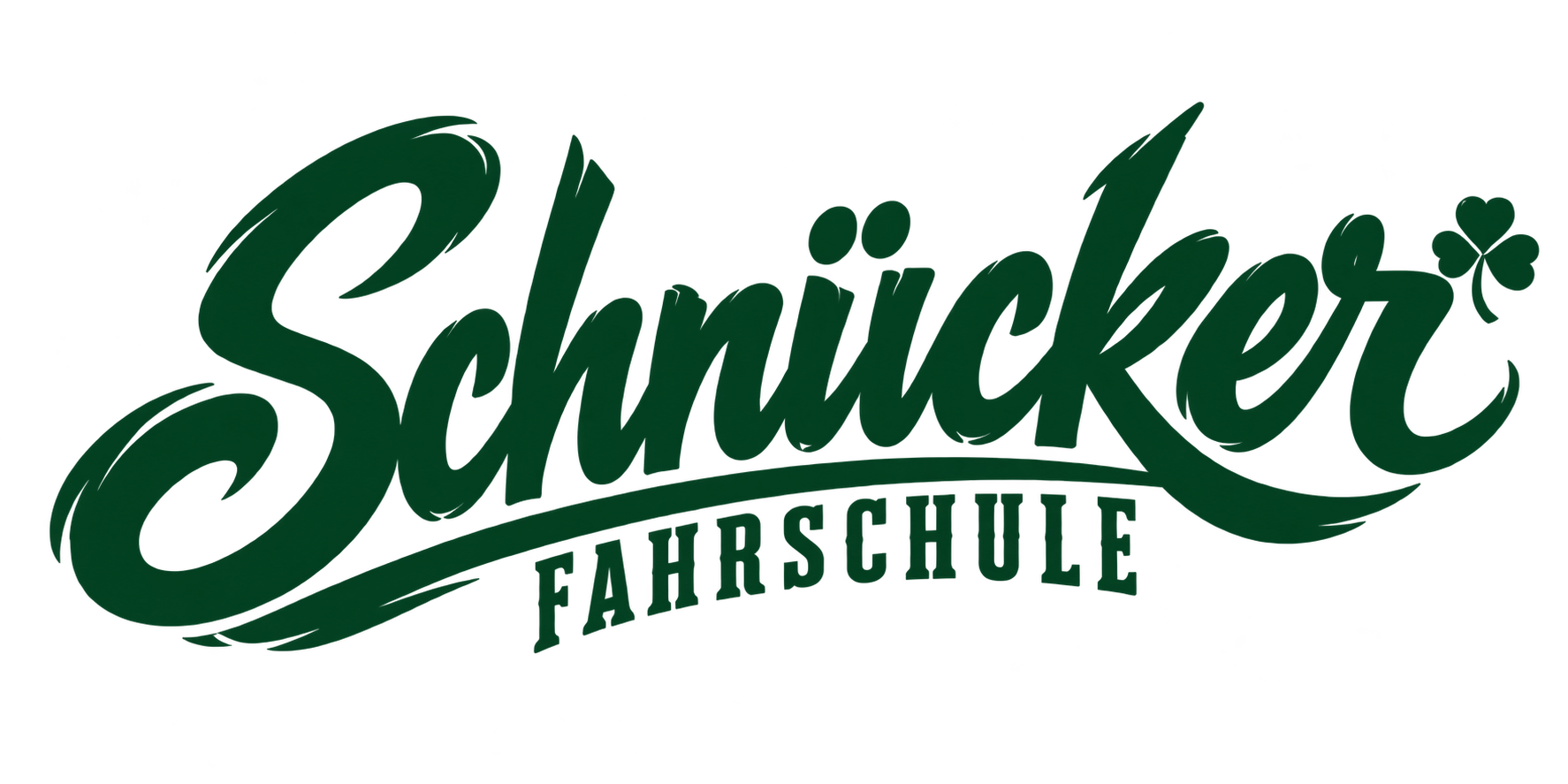 Fahrschule Schnücker